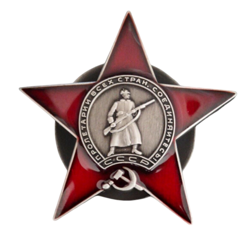 Russland Udssr CCCP Orden Roter Stern Anstecker Pin Replik